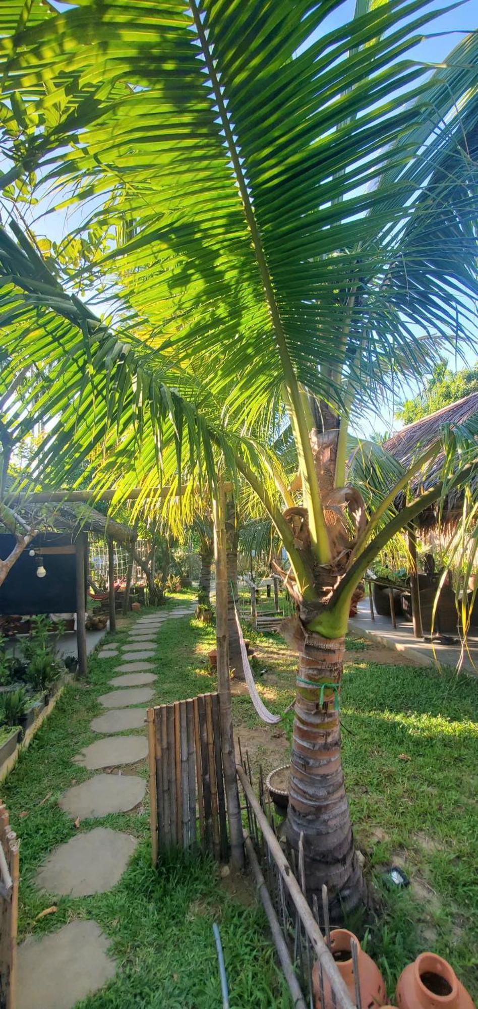 Home Farm Villa هوي ان المظهر الخارجي الصورة